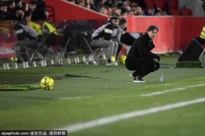 金年会官网-关于马洛卡再度遭遇波折，球队寻求突破的信息