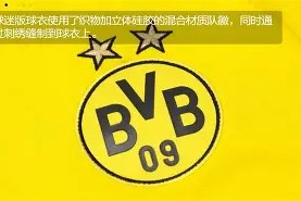 金年会下载-包含多特蒙德运气不佳，战绩蒙上阴影的词条