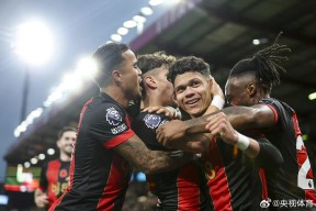 金年会下载-伯恩茅斯主场战平赫尔城，争取更好成绩