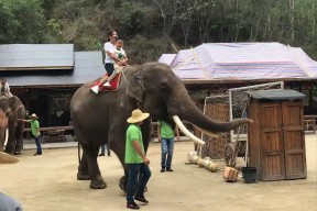 金年会下载-云南野象主场告捷，实力不容小视的简单介绍