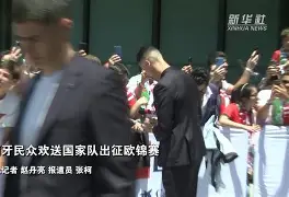 葡萄牙国家队壮丽表现,领跑小组出线的简单介绍 葡萄牙国家队壮丽表现,领跑小组出线的简单介绍