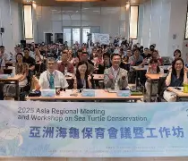 歐洲頂尖球會交鋒，勝負難以預測的简单介绍