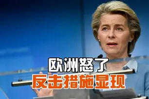 欧洲战场主力