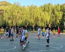 球员们在赛场上彰显出优雅和力量的完美结合英语 球员们在赛场上彰显出优雅和力量的完美结合英语